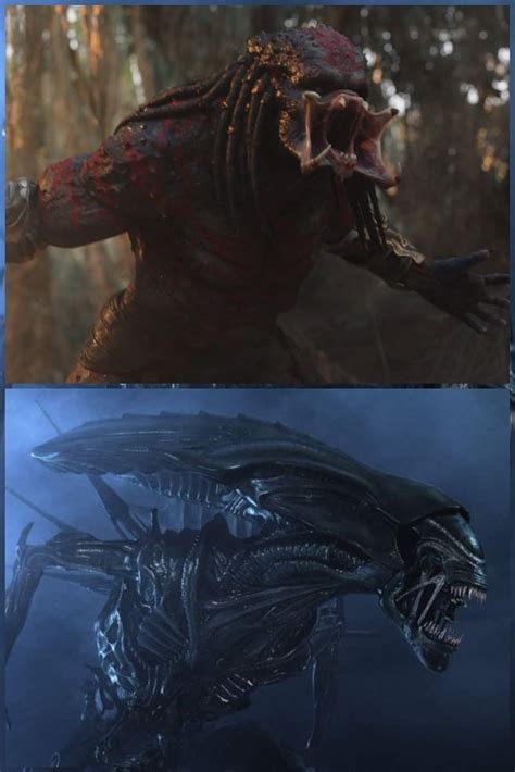 Image result for Alien Queen vs Predalien