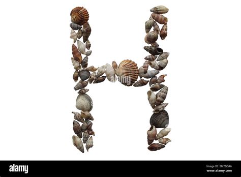 Image result for Leter H Shell