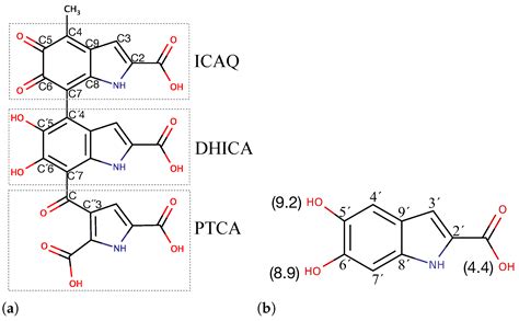 Structural Investigation of DHICA Eumelanin Using Density Functional ...