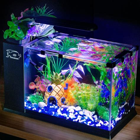 2 Gallon Glass Small Fish Tank Minecraft PONDON Fish Tank, 2 Gallon ...