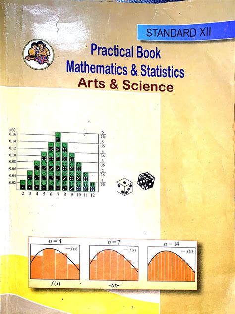 Class 12 Maths Project File 的图像结果