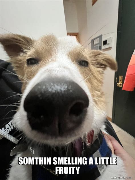 Image result for Smelling Error Meme