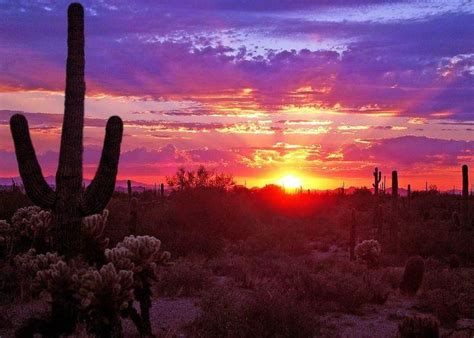 Sunset in Tucson | Arizona sunrise, Desert sunset, Beautiful sunset
