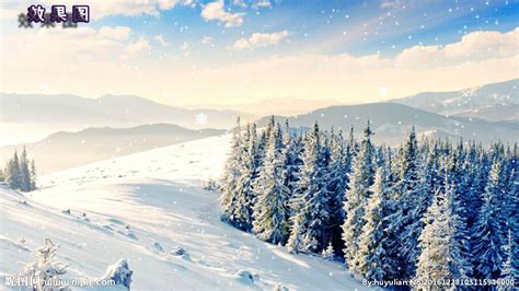 冬天雪景壁纸 白雪覆盖的树木图片壁纸,冰天雪地-冬天雪景壁纸(一)壁纸图片-风景壁纸-风景图片素材-桌面壁纸