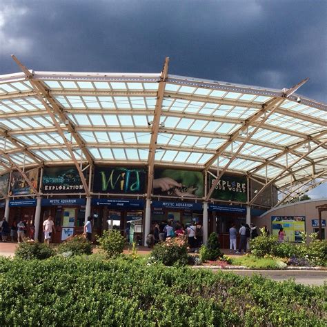 MYSTIC AQUARIUM (2025) All You Need to Know BEFORE You Go (with Photos ...