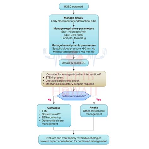 ACLS Algorithms 2020 的图像结果