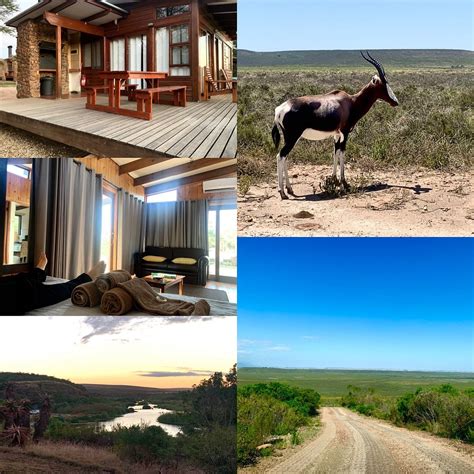 BONTEBOK NATIONAL PARK - CARAVAN AND CAMPING (Swellendam) - Campground ...