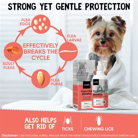 Buy Animigo Flea and Tick Shampoo for Dogs, Cats, Puppies, & Kittens ...