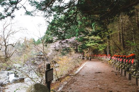 Best Places To Visit Outside Tokyo – You Could Travel
