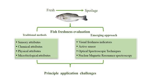 Emerging Approach for Fish Freshness Evaluation: Principle, Application ...