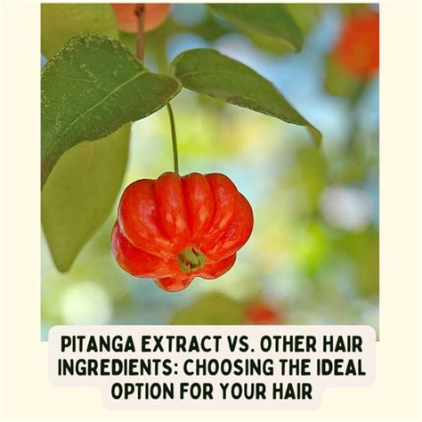 The Magic of Pitanga Extract for Hair Nourishment | Clinikally