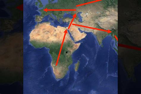 Human Migration 的图像结果