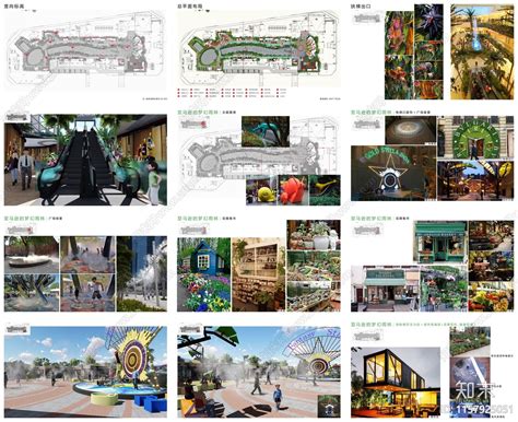 Image result for Example of Life Science