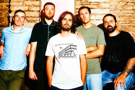 Image result for fiddlehead