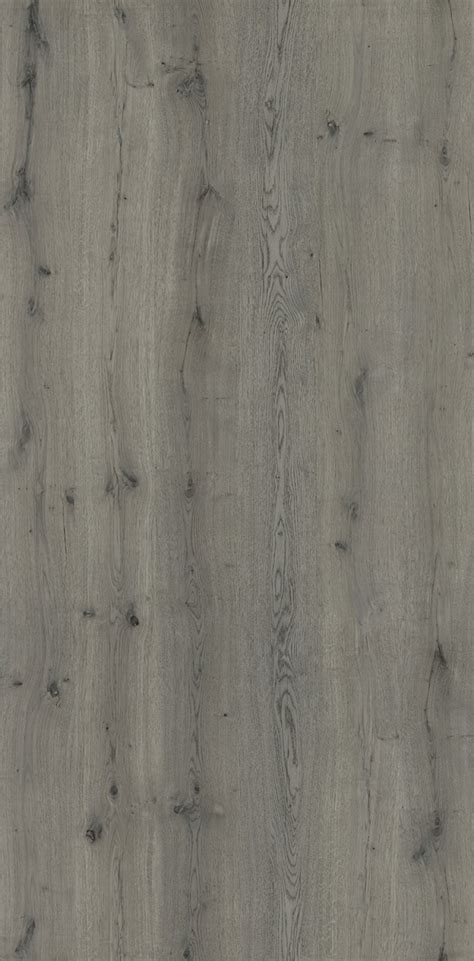 20-591 MOSSYCUP OAK - GREY || Saffron Decoratives