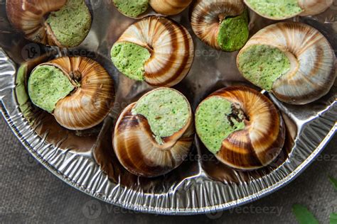 snails food green meal food snack diet on the table copy space food ...