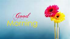 Wallpaper Of Morning by Morning Wallpaper With Flowers Hd 1920x1080 Gm Wallpaper Of Morning