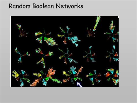 Image result for Random Boolean Networks