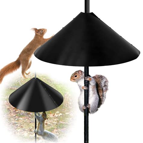 Diy Squirrel Baffle