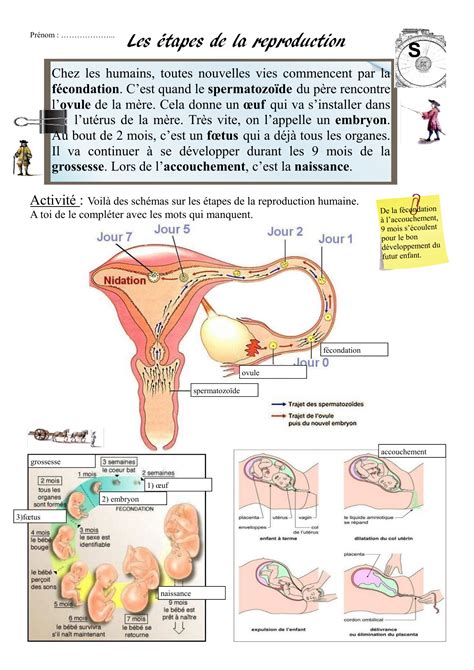 La Reproduction Humaine 的图像结果