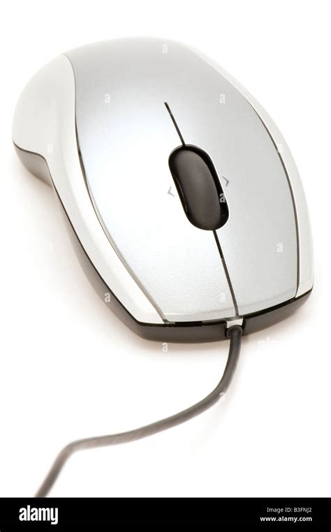 Image result for Computer Tool Mouse