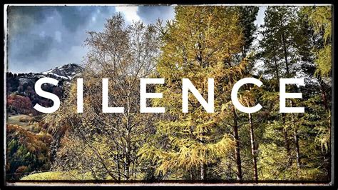 Quiet 的图像结果