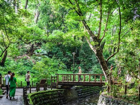 10 Things to Do in Tokyo in Fall - Hellotickets