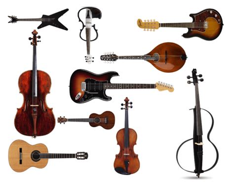 Image result for Stringed Instruments