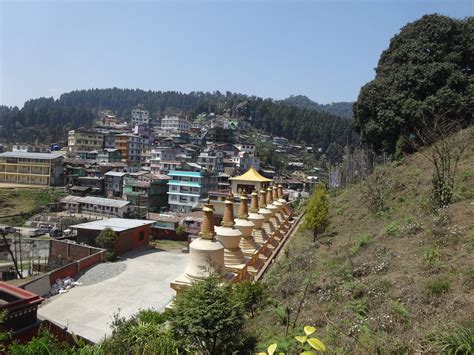 The 10 Best Hotel Deals in Lava (Feb 2026) - Tripadvisor