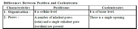 Major Animal Groups - Class 9 PDF Download