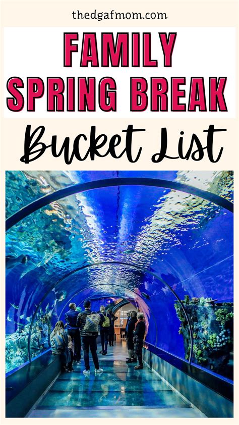 Image result for Spring Break Fun Ideas