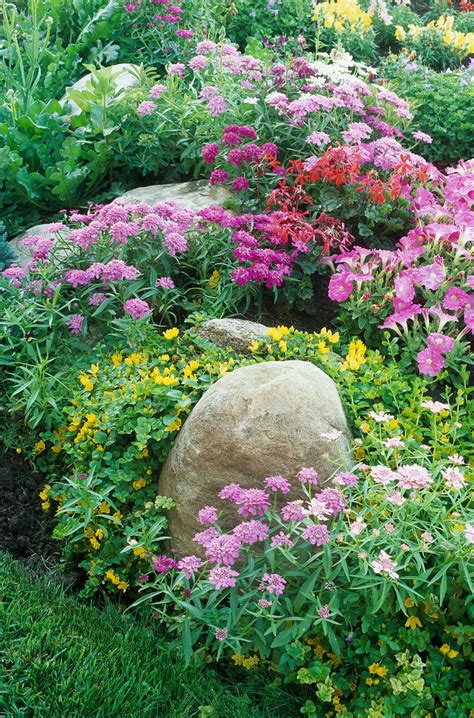 Beautiful Cottage Flower Garden