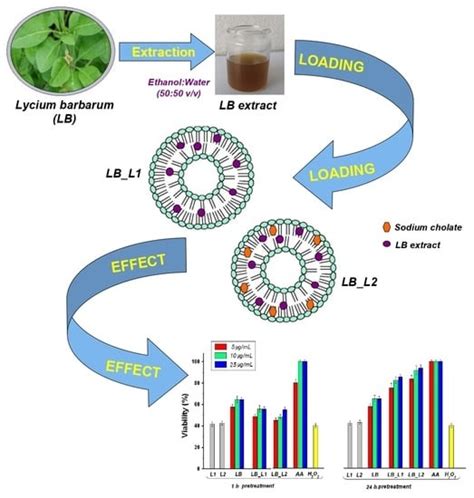 Encapsulation of Polyphenols from Lycium barbarum Leaves into Liposomes ...