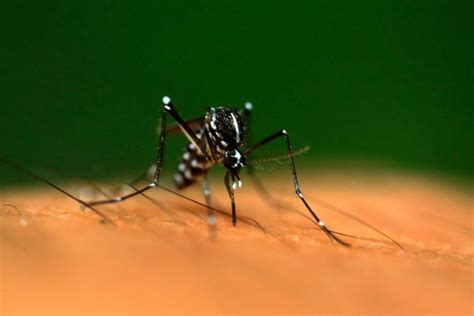 Top Iconic Travel Moments of 2016 | CN Traveller India