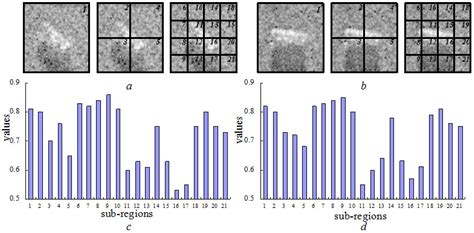 Sparse Weighting for Pyramid Pooling-Based SAR Image Target Recognition