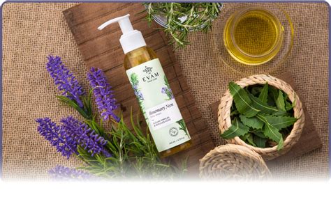 Evam Rosemary Neem Face Wash - No Sulphate & Paraben - 140 ML : Amazon ...