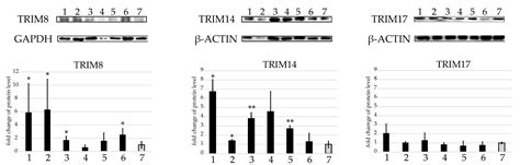 Identification of Key TRIM Genes Involved in Response to Pseudomonas ...