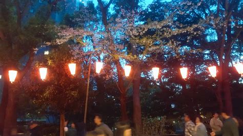 Top 14 Kirschblüten-Orte in Tokyo an einem Tag erleben