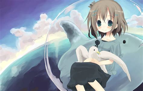 Wallpaper sea, Dolphin, bird, anime, art, girl for mobile and desktop ...