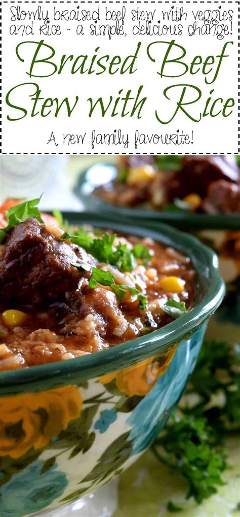 Braised Beef Stew with Rice - Lord Byron's Kitchen