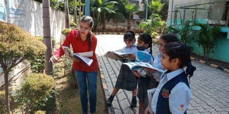 Solitaire International School