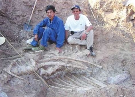 甘肃刘家峡发现亚洲最多的恐爪龙类足迹化石_大西北网