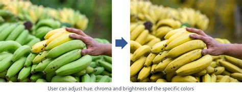 Image result for Display Resolution Smartphone