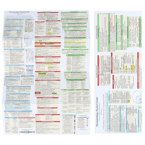 Buy Dermatology Pocket Guide | Dosing, Workup, & Management | 5th ...