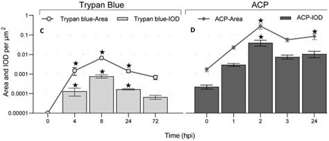 Morphology of the Spleen in Oreochromis niloticus: Splenic Subregions ...