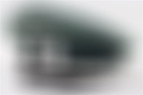 ratisbon's | Heer Gebirgs-Kraftfahr-Abteilung 18 officer's visor cap ...