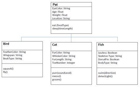 Image result for IB Computer Science UML Inheritance