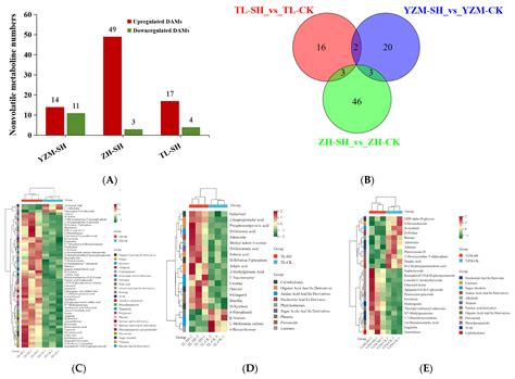 Comparative Metabolomic Responses of Three Rhododendron Cultivars to ...