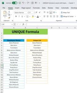 Image result for How to Exclude Header in Unique Formula Excel