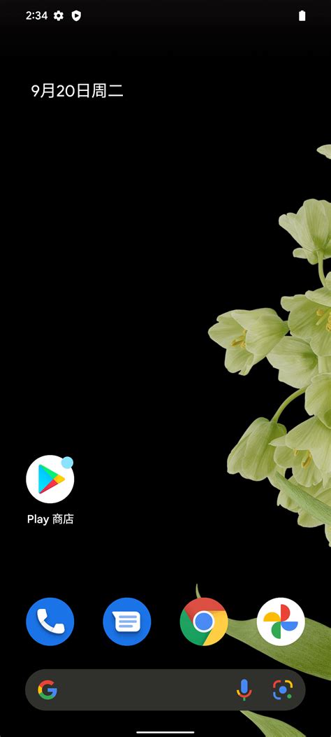 Pixel.com Desktop Version 的图像结果